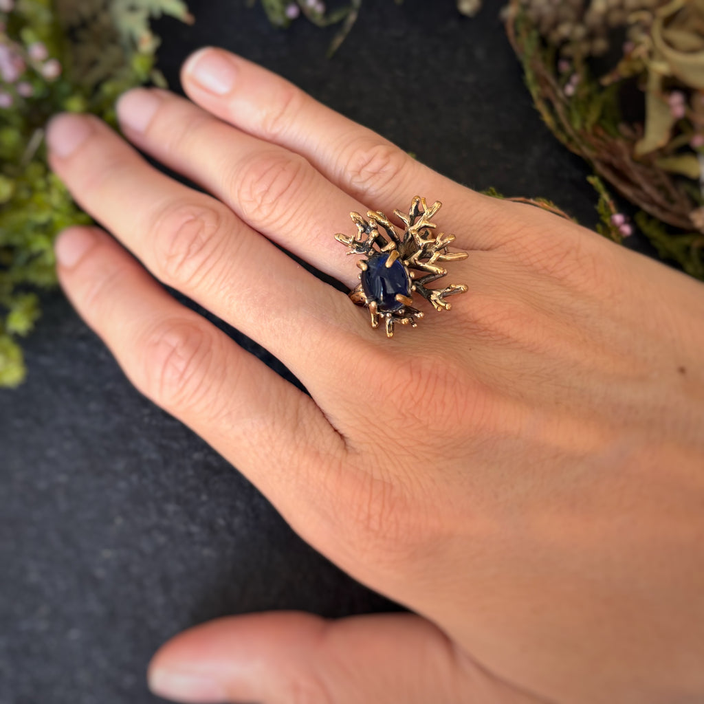 Anello Rami