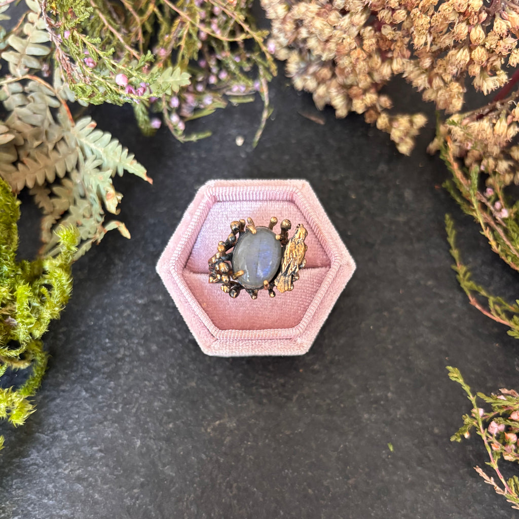 Anello Uccellino