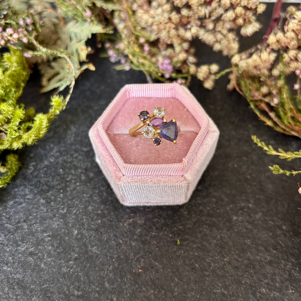 Anello Cluster