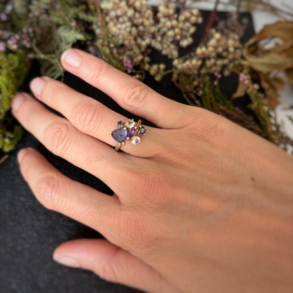 Anello Cluster
