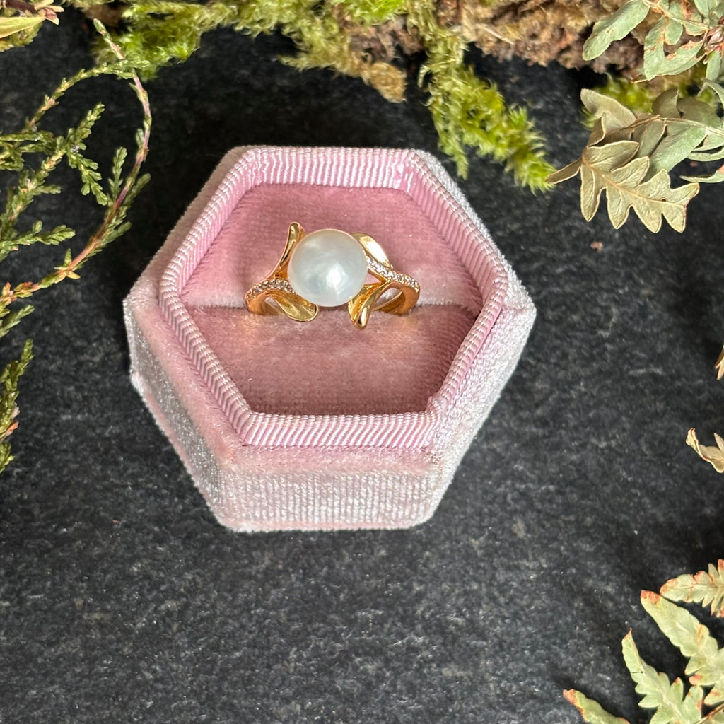 Anello Vischio