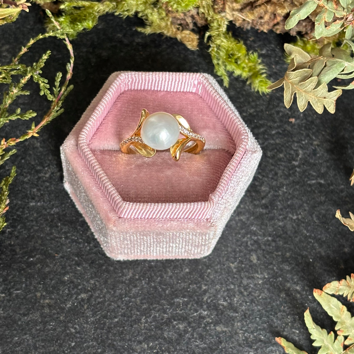 Anello Vischio